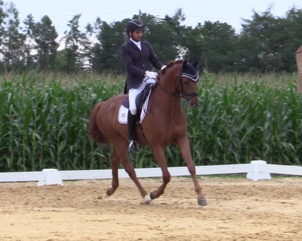 Reitturnier Ranshofen - Braunau am Inn 2023