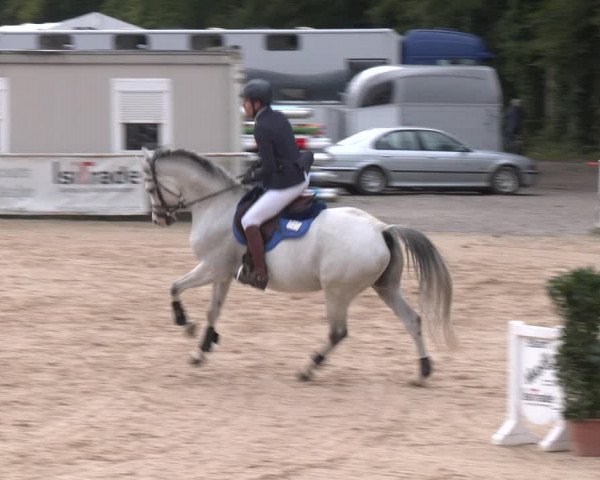 Reitturnier Ranshofen - Braunau am Inn 2023