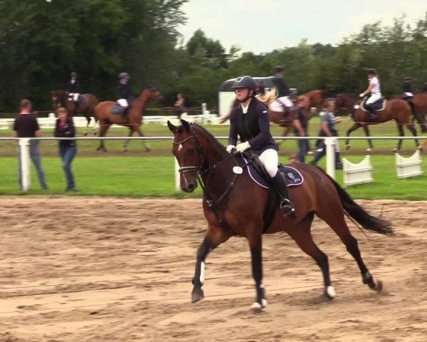 Reitturnier Sollerup 2023