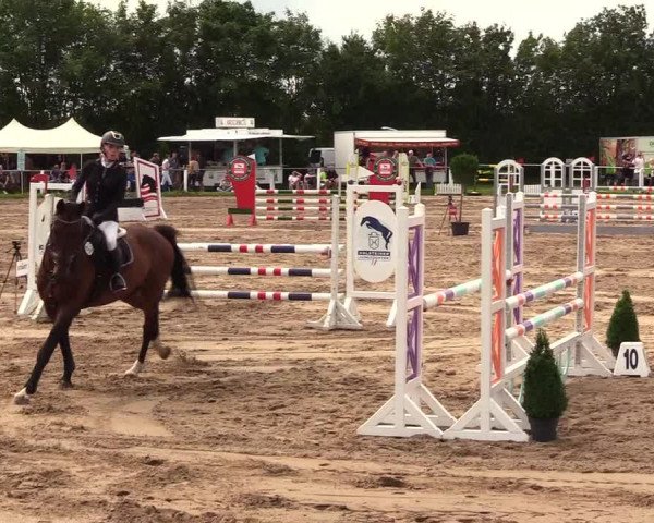 Reitturnier Sollerup 2023
