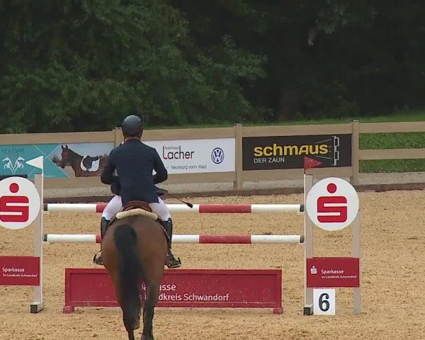 Reitturnier Tiefenhof 2023