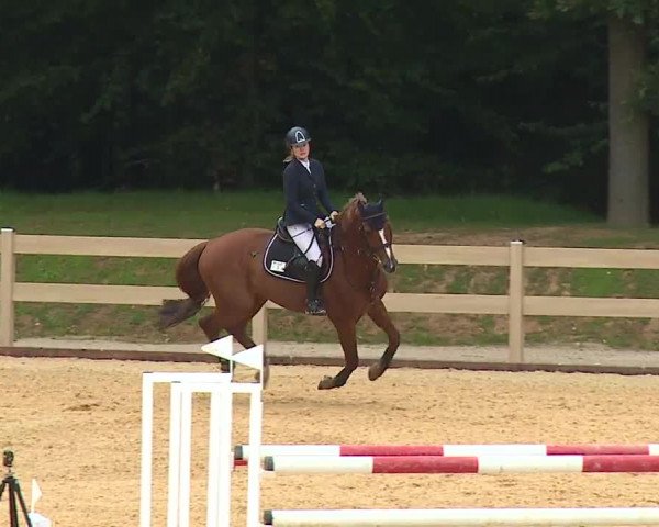 Reitturnier Tiefenhof 2023