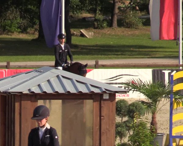 Reitturnier Westergellersen 2021