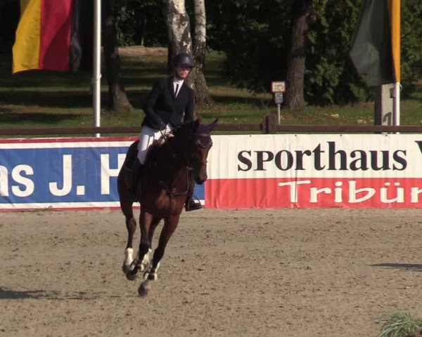 Reitturnier Westergellersen 2021