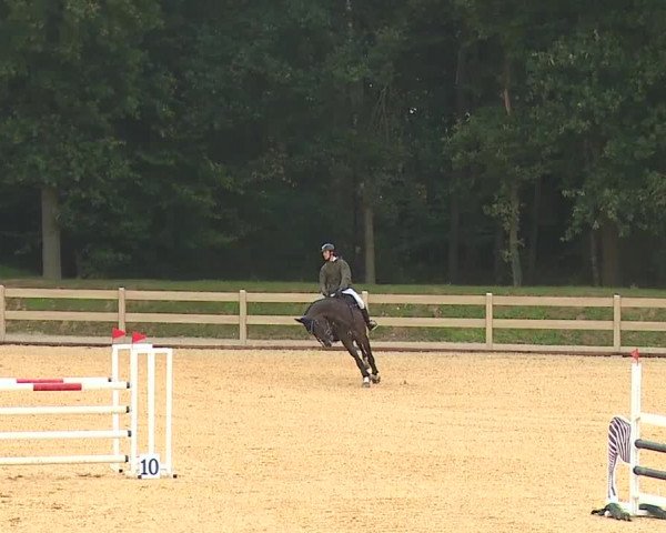 Reitturnier Tiefenhof 2023