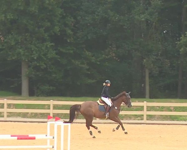 Reitturnier Tiefenhof 2023