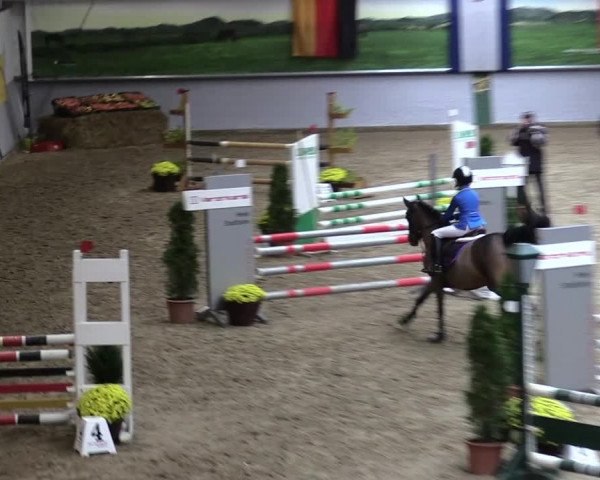 23. Legdener Ponymeeting 2021