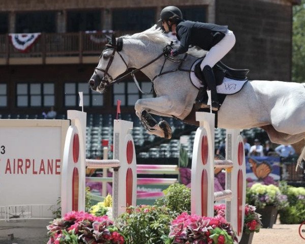 Springpferd Jenni's Chance (Belgisches Warmblut, 2009, von Clinton)