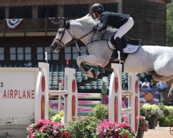 jumper Jenni's Chance (Belgian Warmblood, 2009, from Clinton)