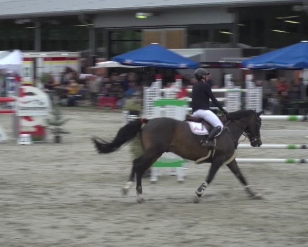Reitturnier Nettetal-Lobberich 2023