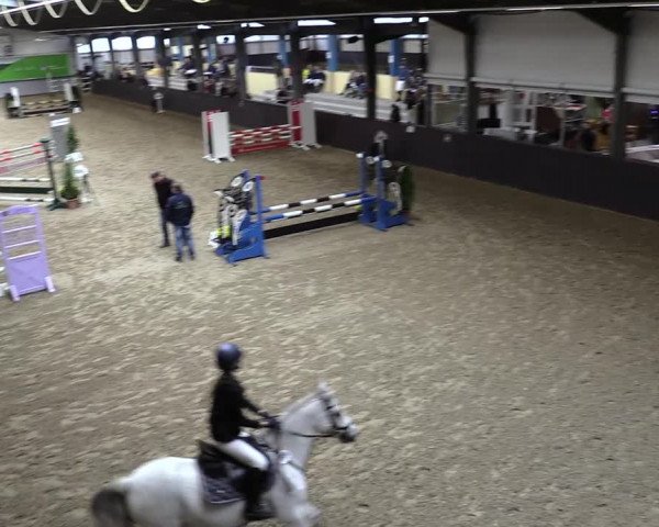 23. Legdener Ponymeeting 2021
