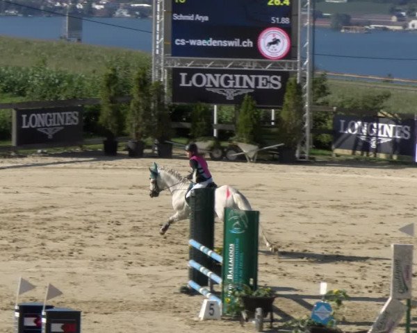 Reitturnier Wädenswil 2023