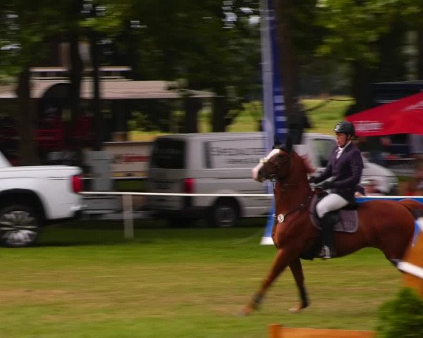 Reitturnier Zobbenitz 2023