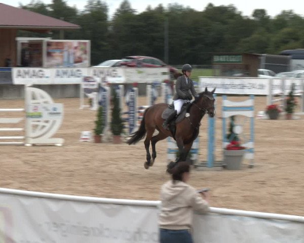 Reitturnier Ranshofen - Braunau am Inn 2023