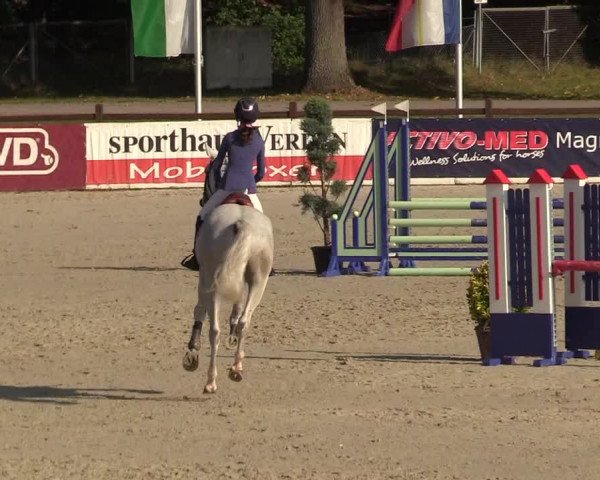 Reitturnier Westergellersen 2021