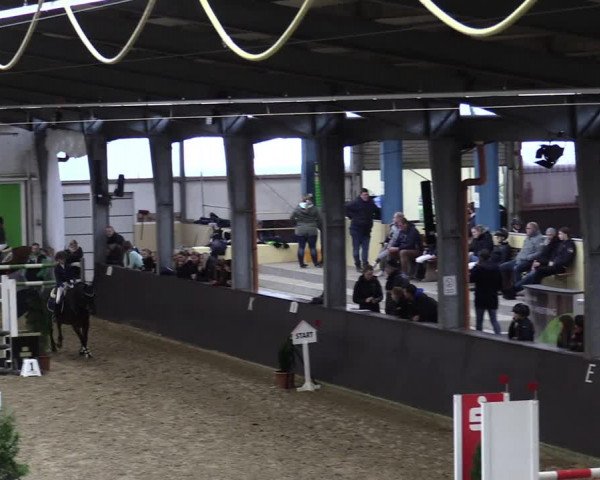 23. Legdener Ponymeeting 2021