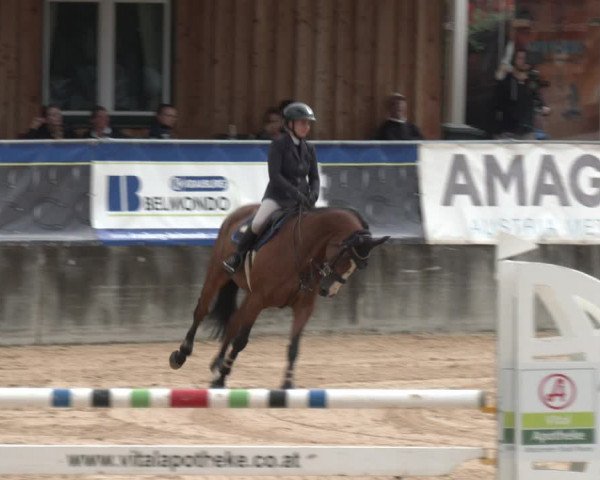 Reitturnier Ranshofen - Braunau am Inn 2023