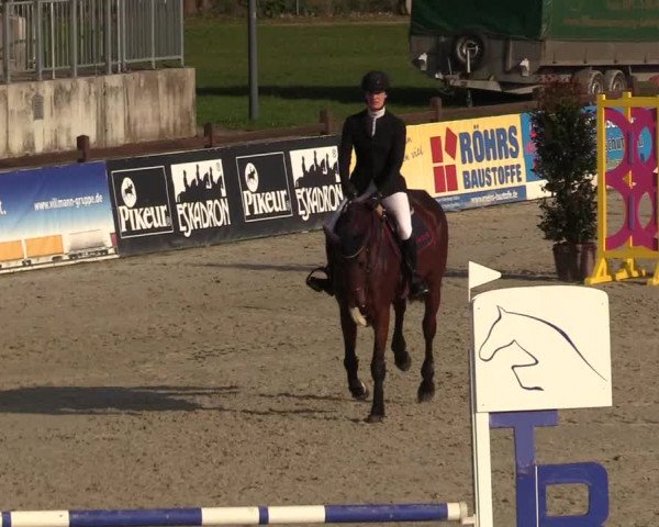 Reitturnier Westergellersen 2021
