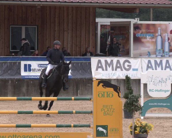 Reitturnier Ranshofen - Braunau am Inn 2023