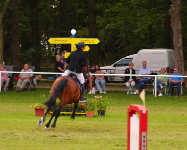 Reitturnier Zobbenitz 2023