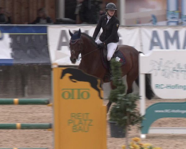 Reitturnier Ranshofen - Braunau am Inn 2023