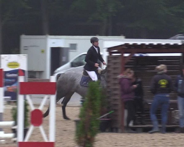 Reitturnier Albersdorf Dithmarsenpark 2021