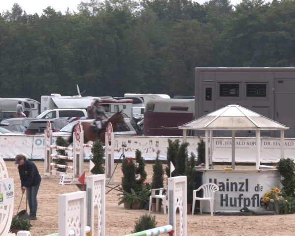 Reitturnier Ranshofen - Braunau am Inn 2023