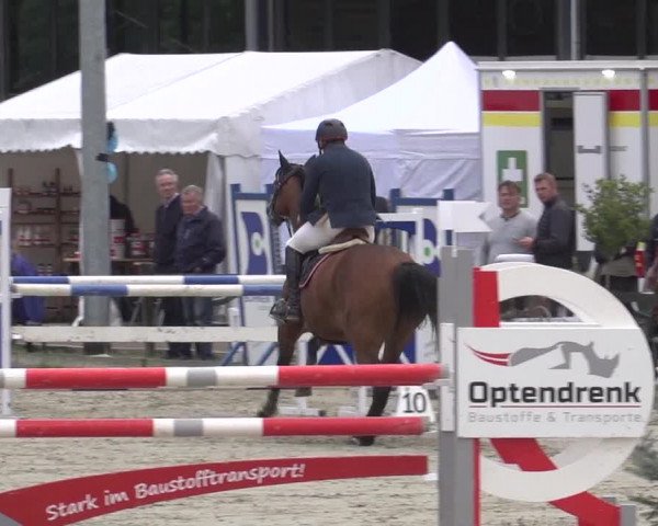 Reitturnier Nettetal-Lobberich 2023