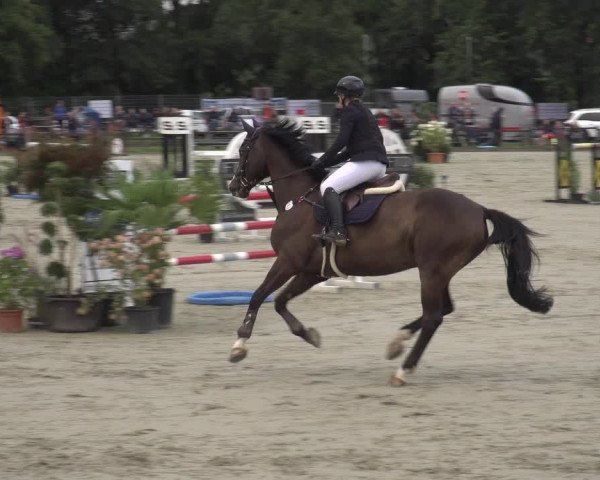 Reitturnier Nettetal-Lobberich 2023