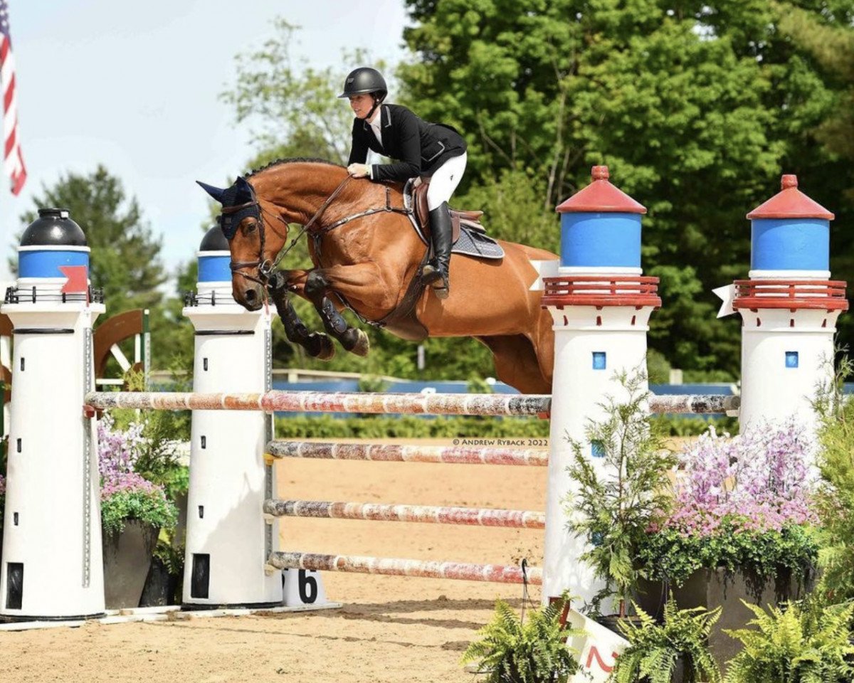 jumper Qutaira (Oldenburg, 2013, from Quo Saltas)