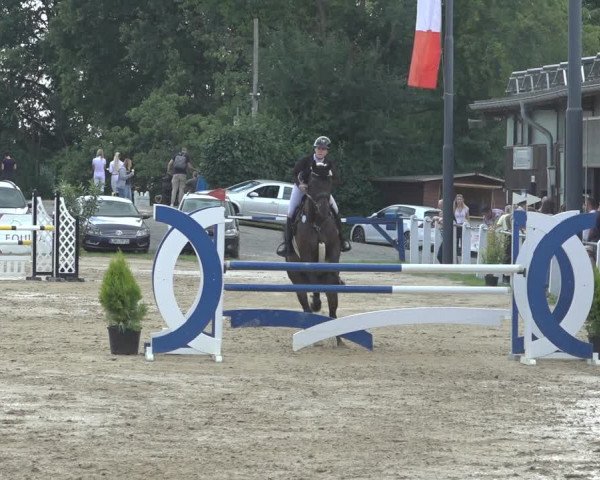 Reitturnier Niederzeuzheim 2023