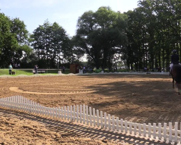 Reitturnier Zobbenitz 2023