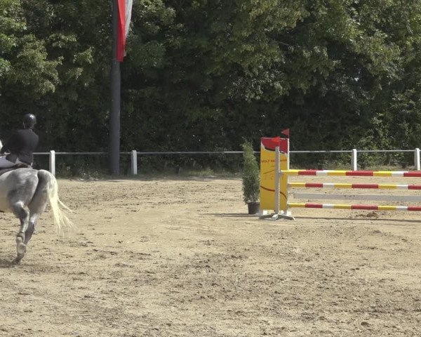 Reitturnier Niederzeuzheim 2023