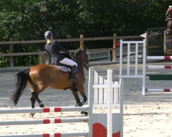 Reitturnier Alvern 2023
