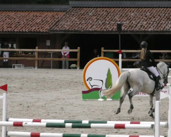 Reitturnier Alvern 2023