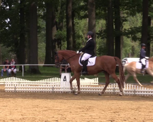 Reitturnier Zobbenitz 2023