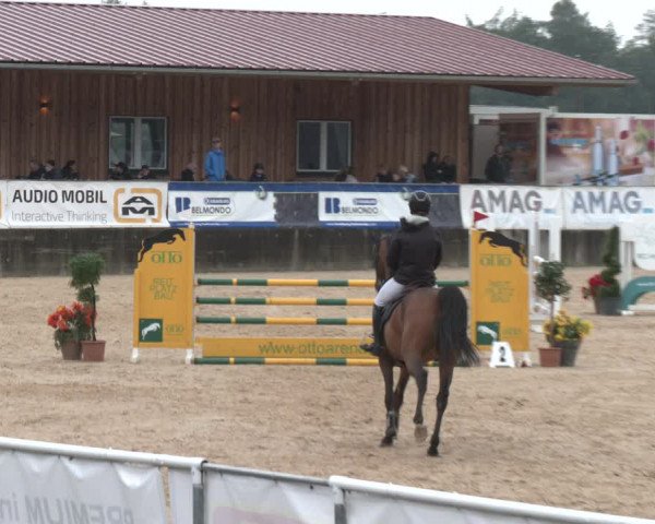 Reitturnier Ranshofen - Braunau am Inn 2023