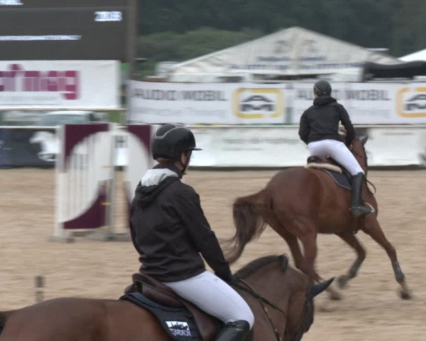 Reitturnier Ranshofen - Braunau am Inn 2023