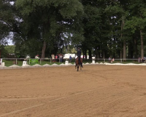 Reitturnier Zobbenitz 2023
