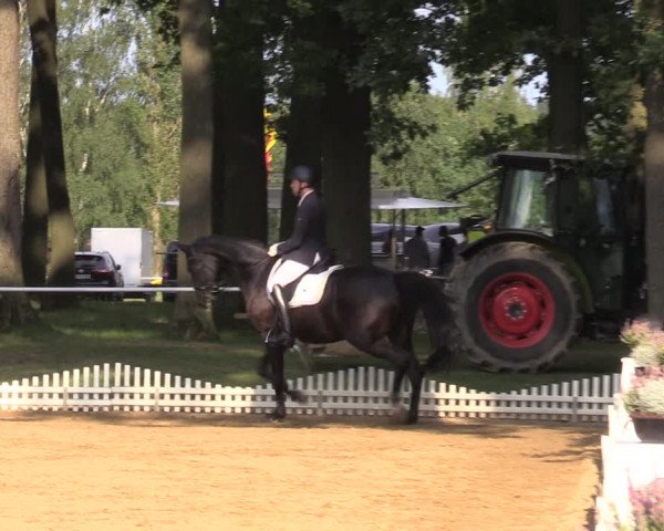 Reitturnier Zobbenitz 2023