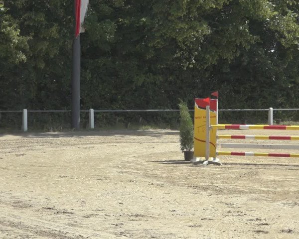 Reitturnier Niederzeuzheim 2023