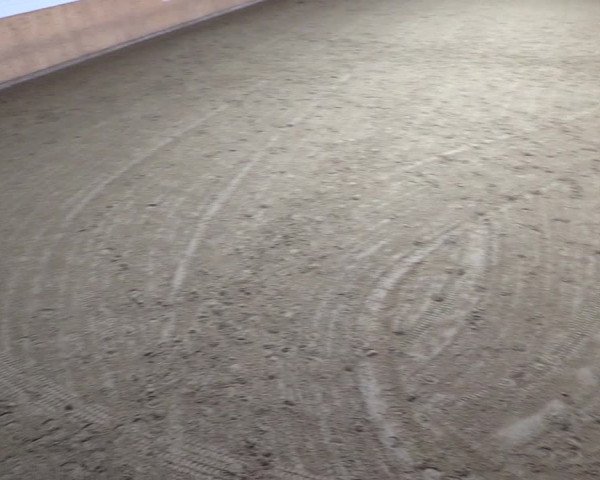Reitturnier Olfen-Vinnum 2023