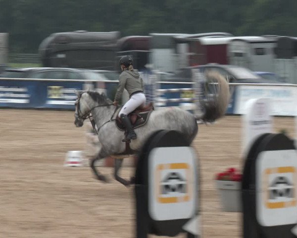 Reitturnier Ranshofen - Braunau am Inn 2023