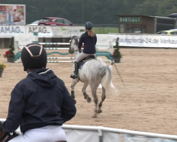 Reitturnier Ranshofen - Braunau am Inn 2023