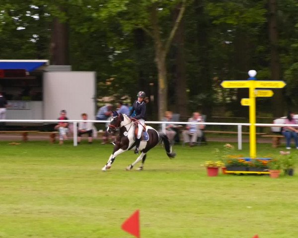 Reitturnier Zobbenitz 2023