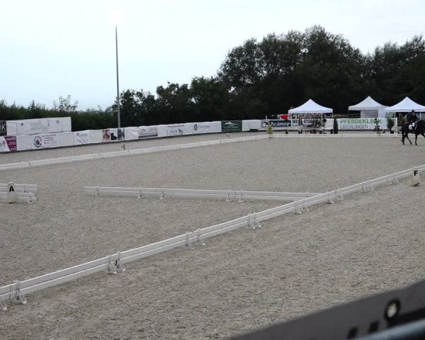 Reitturnier Leichlingen-Witzhelden 2021