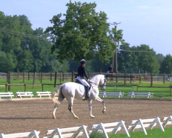 Reitturnier Nettetal-Lobberich 2023
