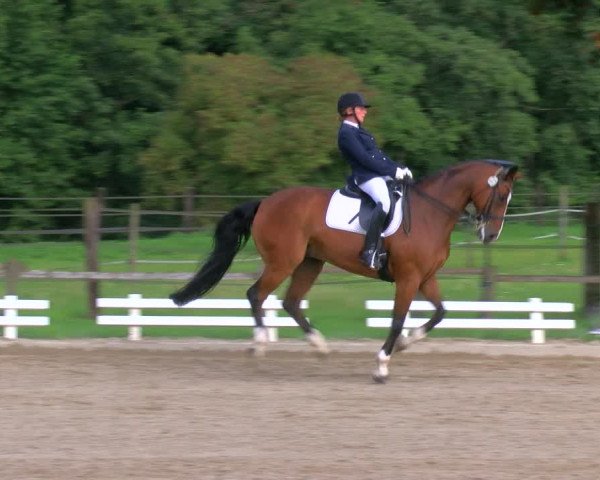 Reitturnier Nettetal-Lobberich 2023