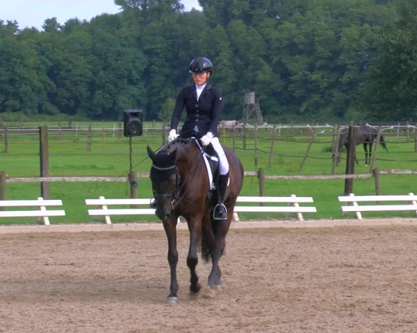 Reitturnier Nettetal-Lobberich 2023