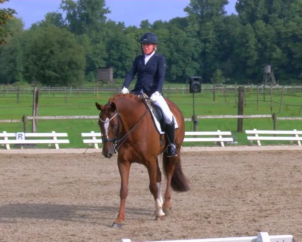 Reitturnier Nettetal-Lobberich 2023